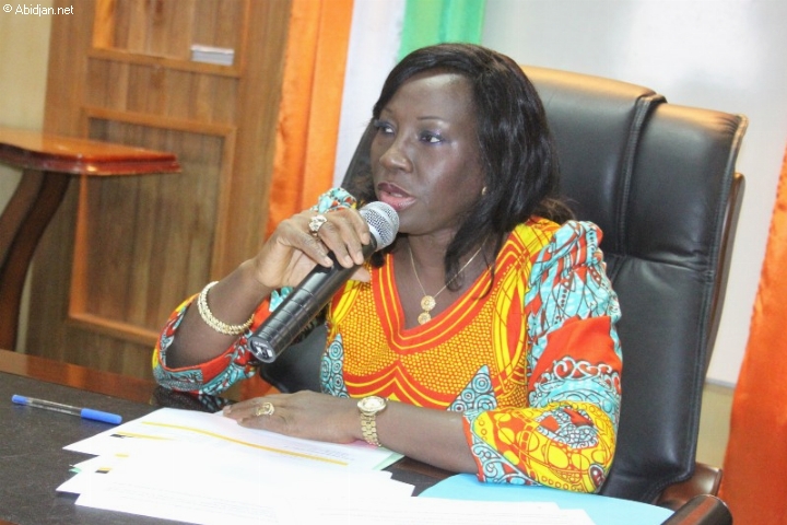 Les programmes scolaires achevés au collège de Tiémé